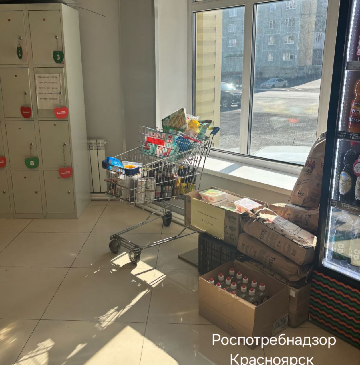 Фото: Telegram-канал «Роспотребнадзор Красноярск»