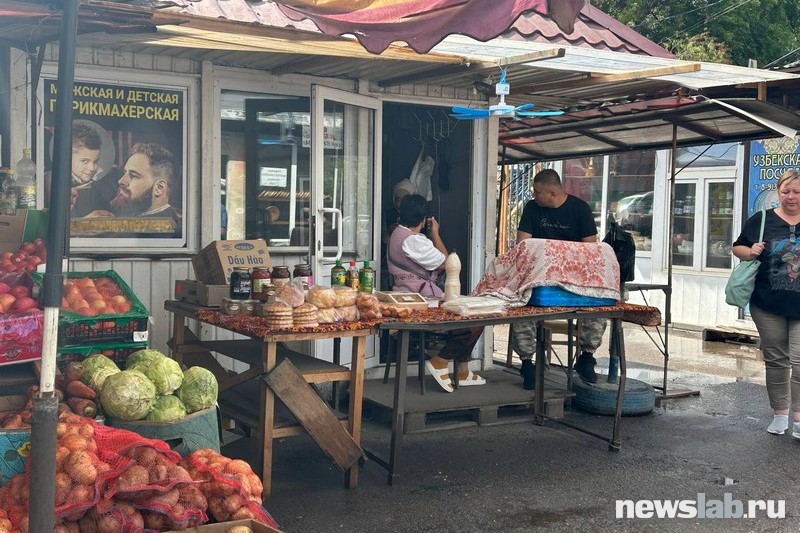 Фото: Newslab.ru