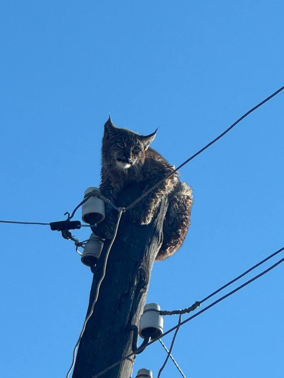 Фото: «БЛАГОДАР Новокручининский»