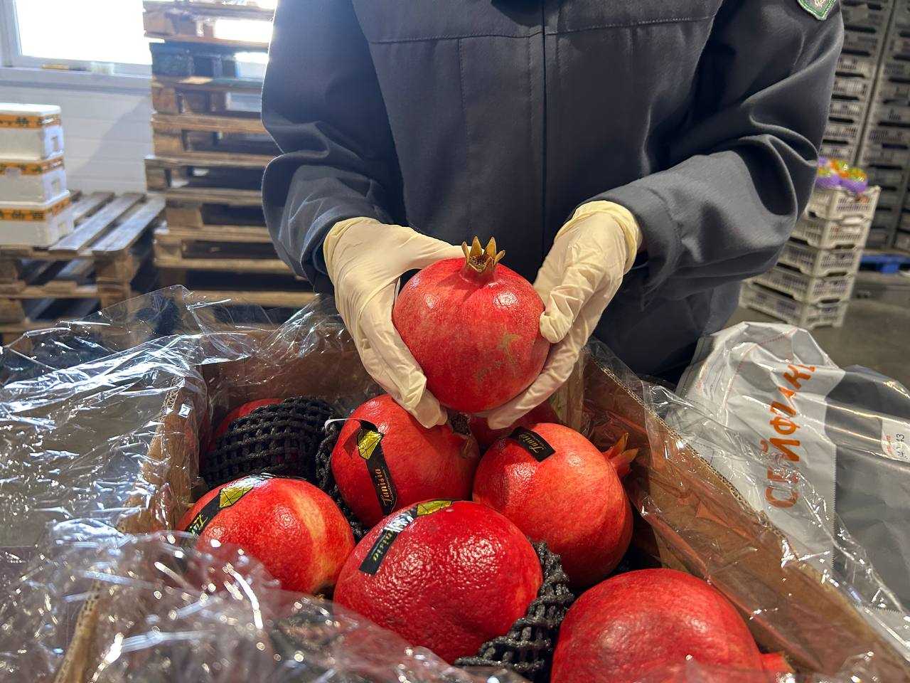 Фото: пресс-служба Управления Россельхознадзора по Красноярскому краю