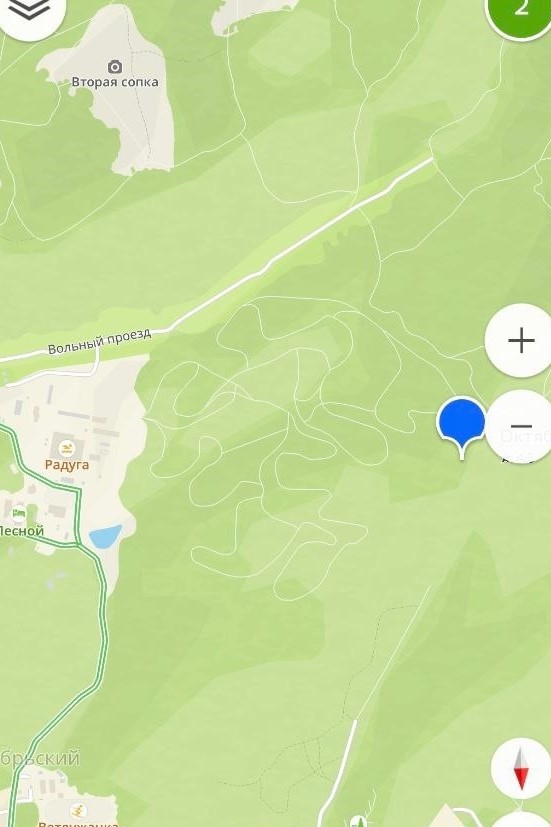 Фото: Гремячая грива