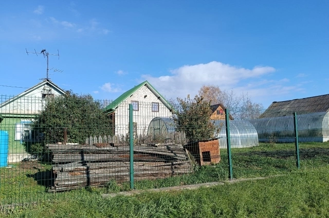 Фото: АиФ/ Татьяна Фирсова