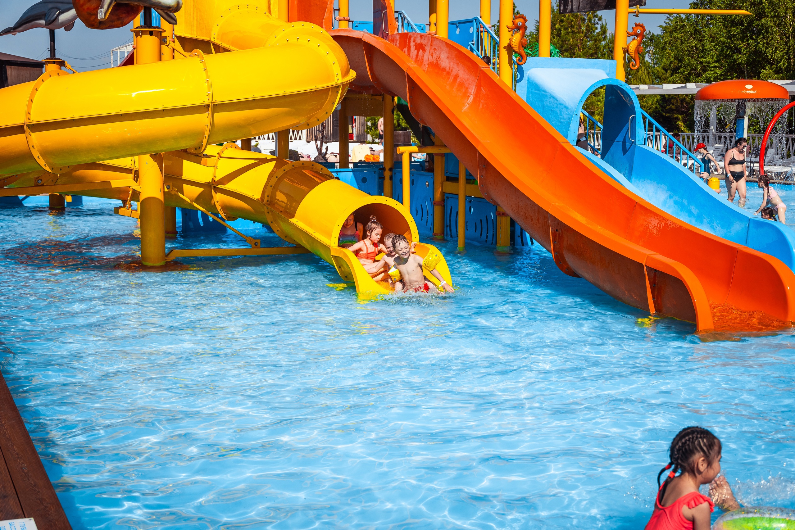 Фото: vk.com/barhat_park