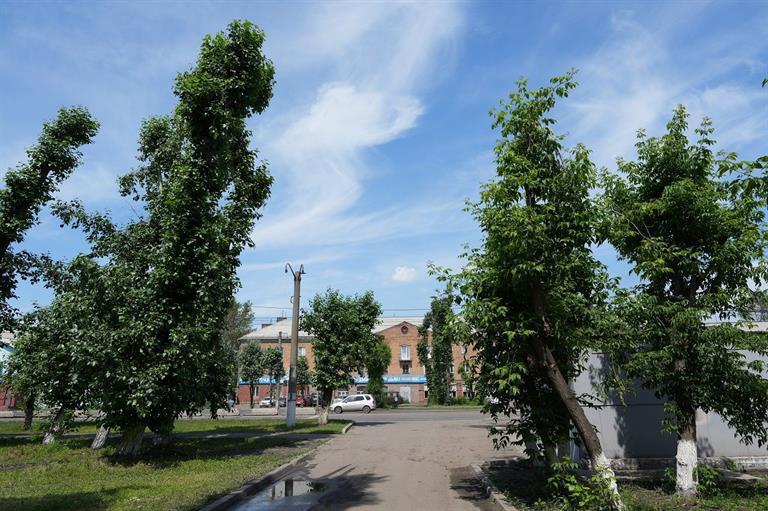 Фото: Администрация Красноярска