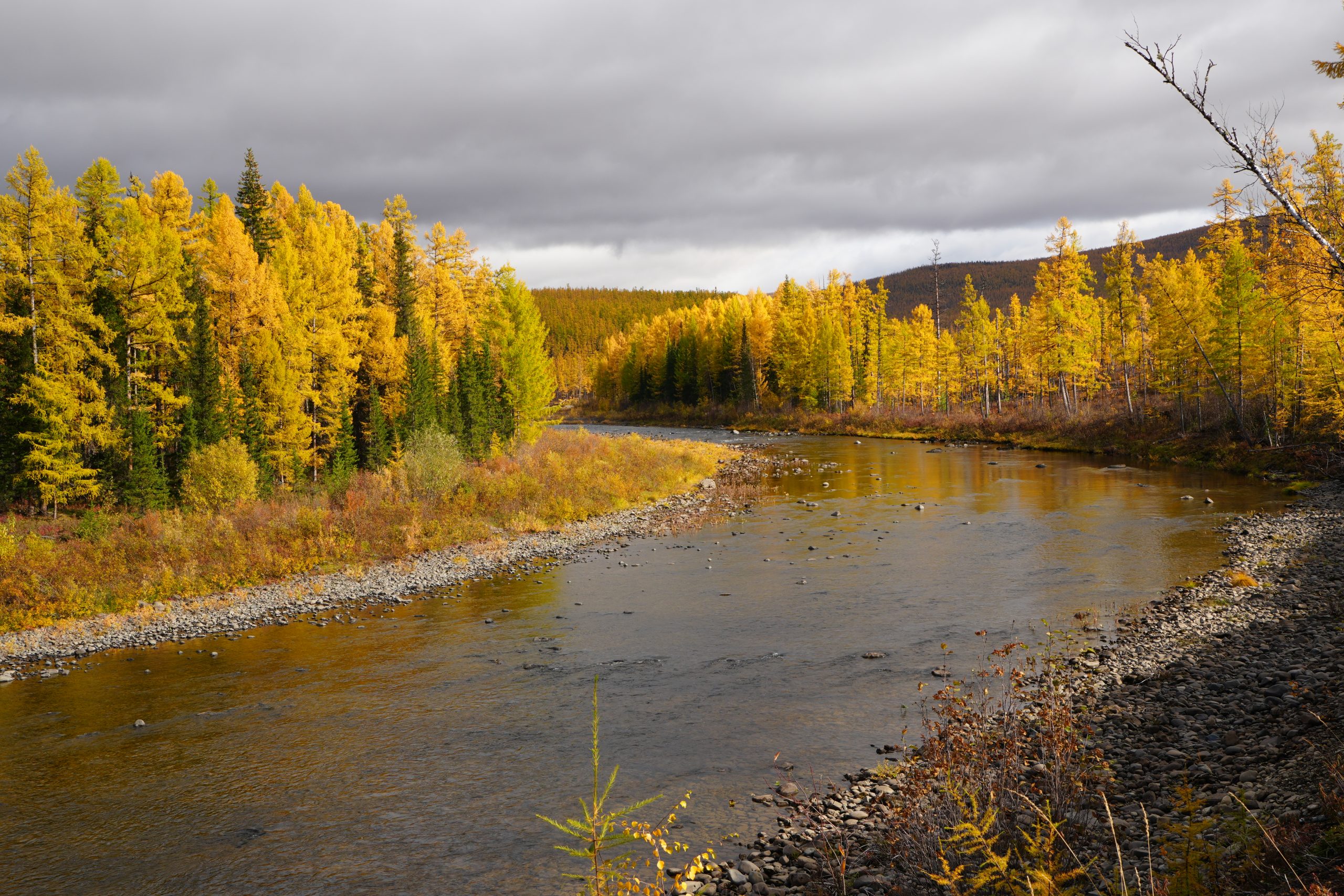 Фото: Газета «Эвенкийская жизнь"