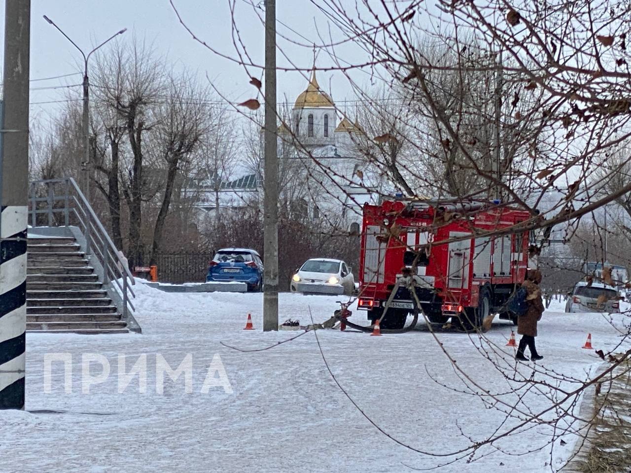 Фото: Прима