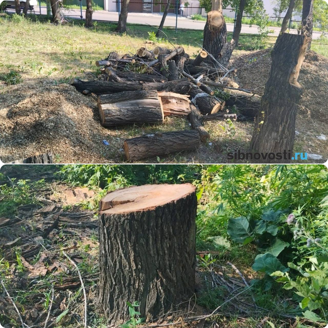 Фото: sibnovosti.ru