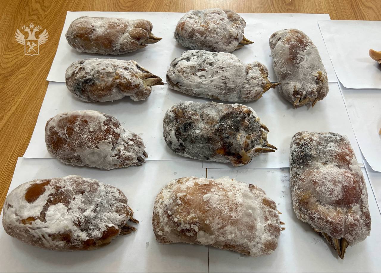 Фото: тг-канал «ФТС России | ProТаможню"