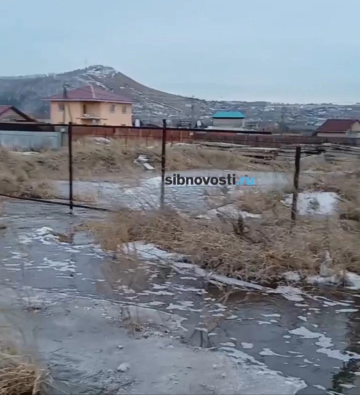 Фото: sibnovosti.ru