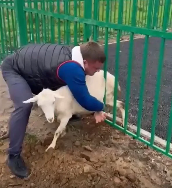 подпись к фотографии