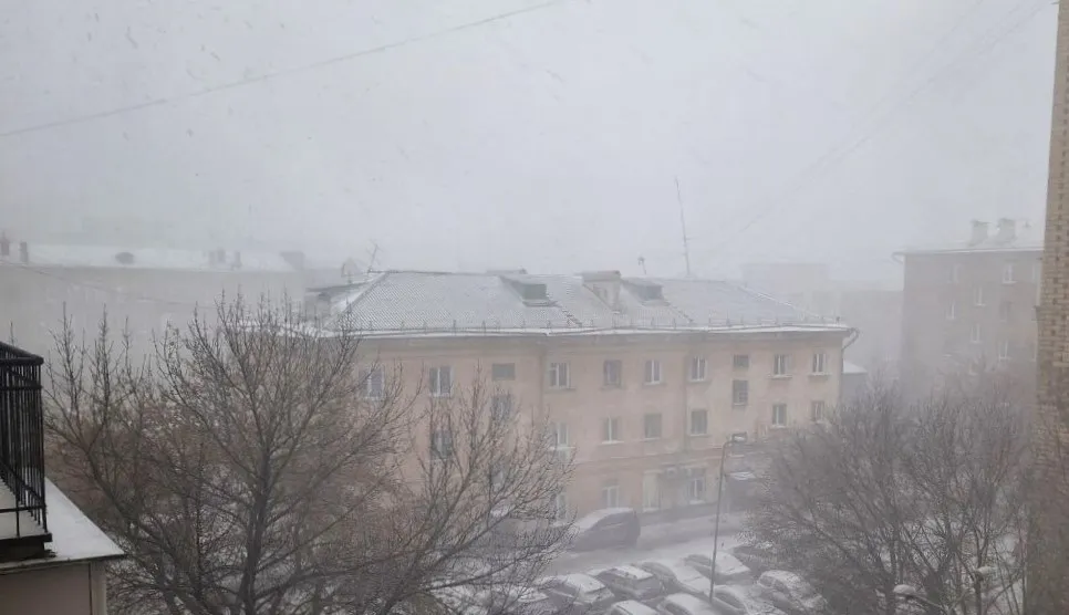 Фото: sibnovosti.ru