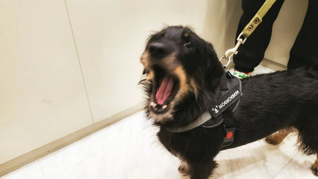 Фото: sibnovosti.ru