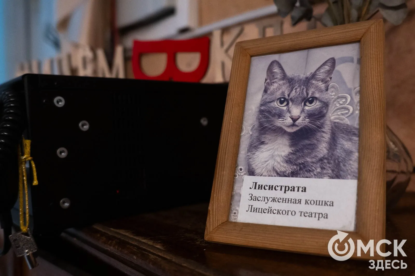 Фото: Илья Петров